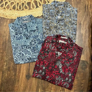 Daniel Cremieux Men's Polos - Blue, Black, Red